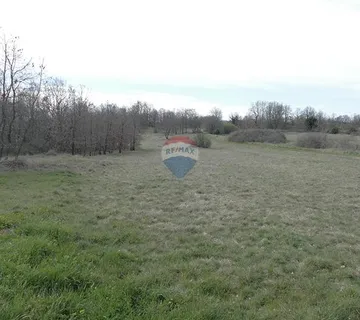 Istra, Štokovci- kombinacija  građevinskog i poljoprivrednog zemljišta - cover