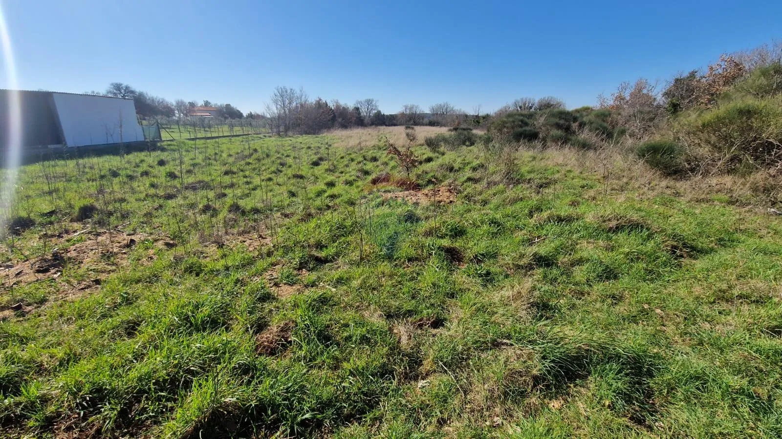 Istra, Ližnjan, Negrađevinsko Zemljište 6042m2 - cover