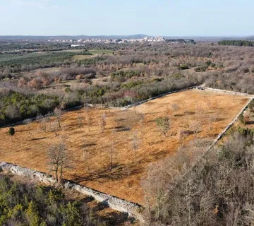 BALE - Poljoprivredno zemljište sa suhozidom 11470 m2  - cover