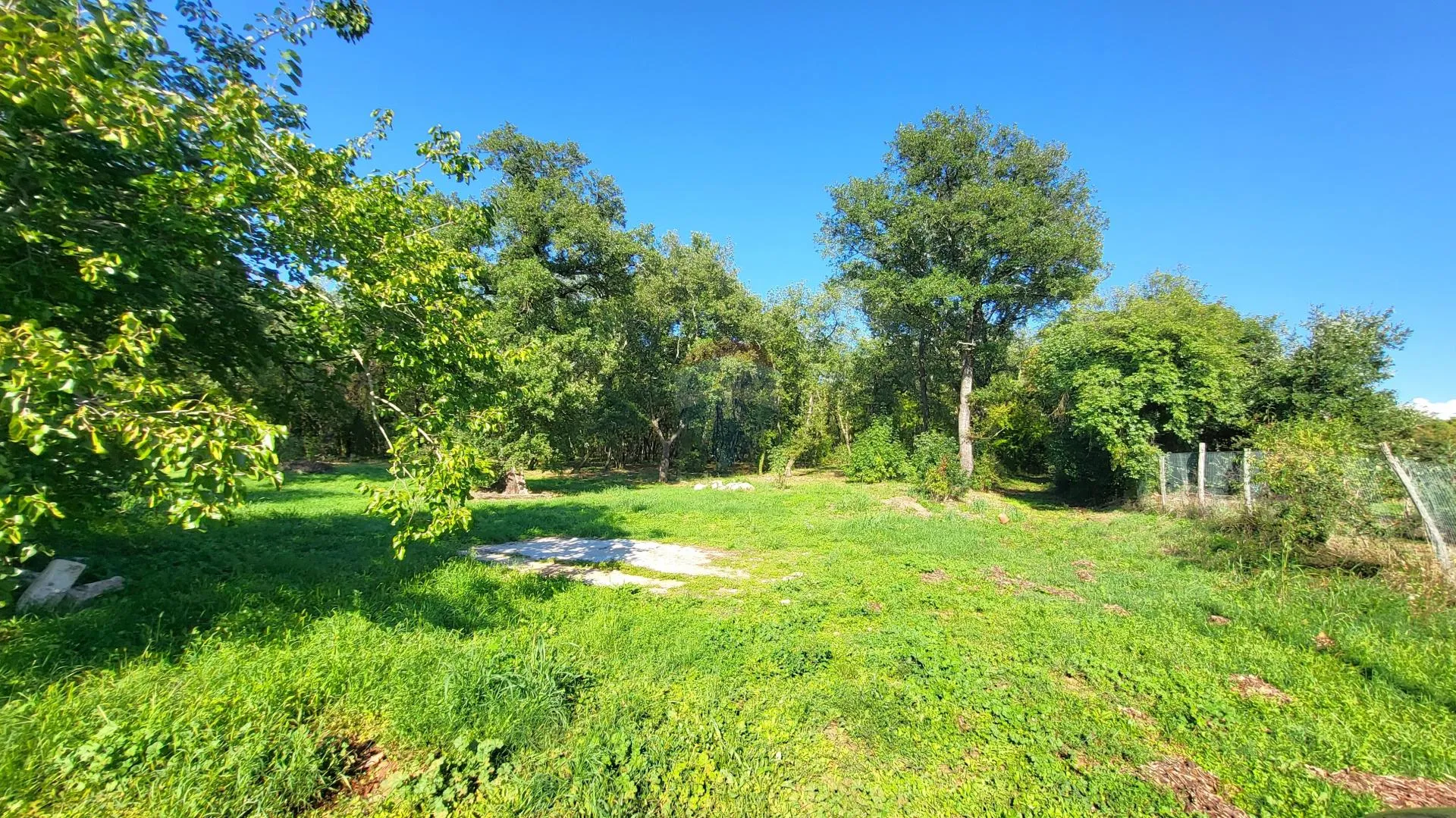 Istra, Umag okolica- građevinsko zemljište i šuma - cover