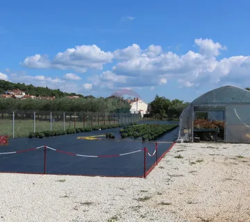 Istra, Poreč, Parcela u okolici Poreča od 10.197 m2 s 3 plastenika - cover