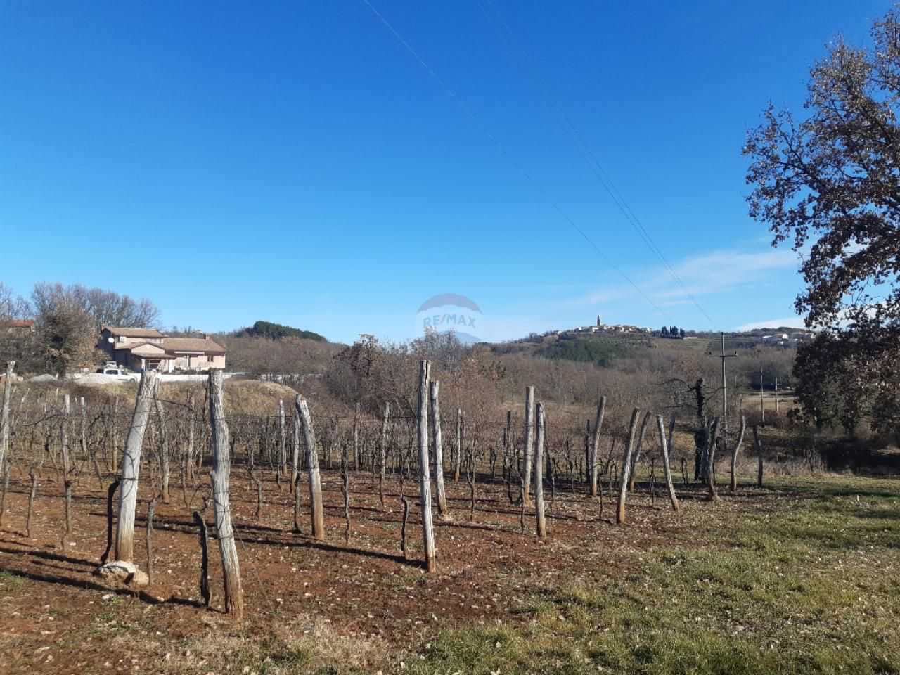 Fotografija