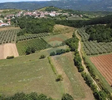 Istra, Vižinada, poljoprivredno zemljište 31 525 m2 - cover