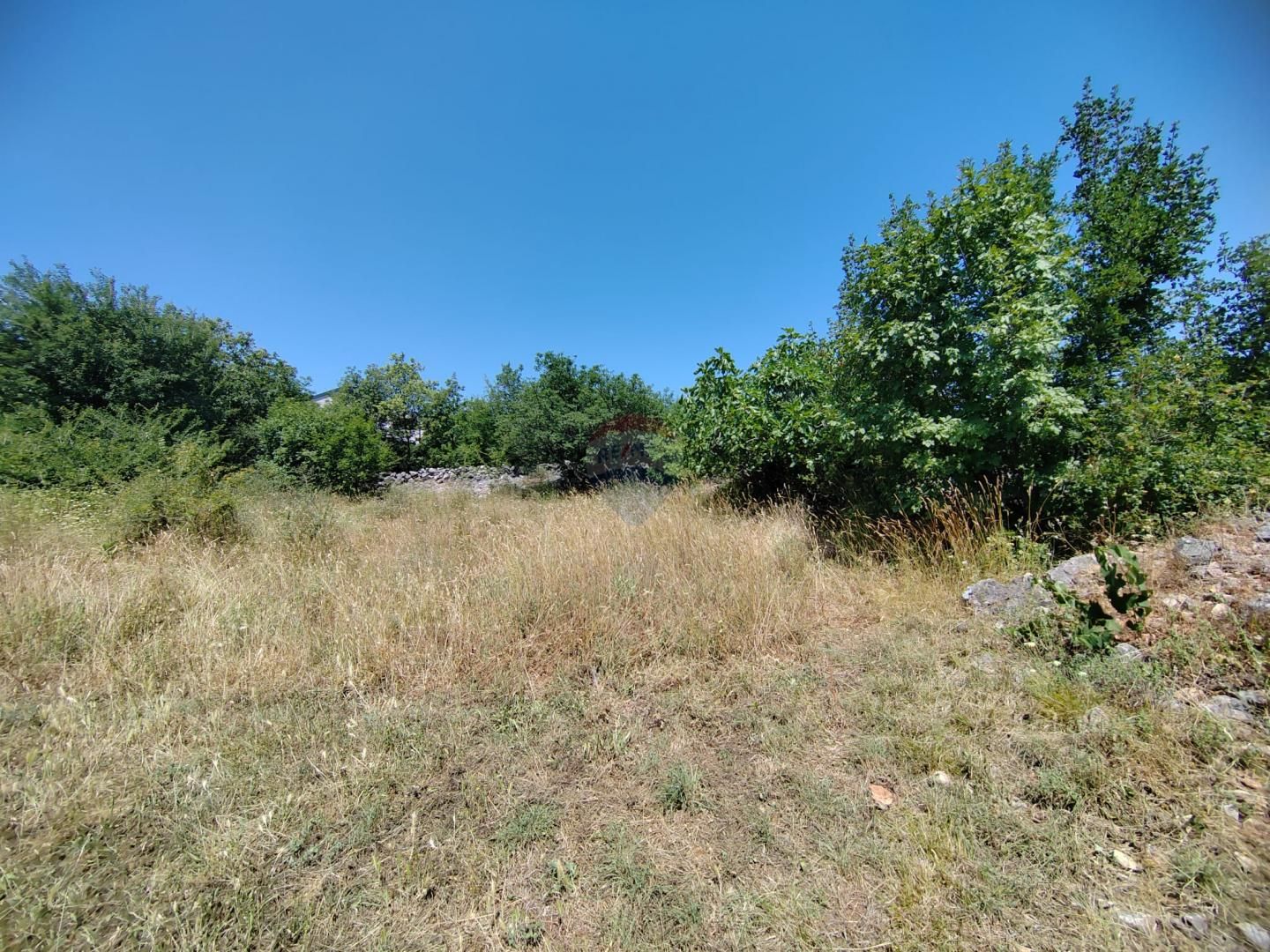 Fotografija