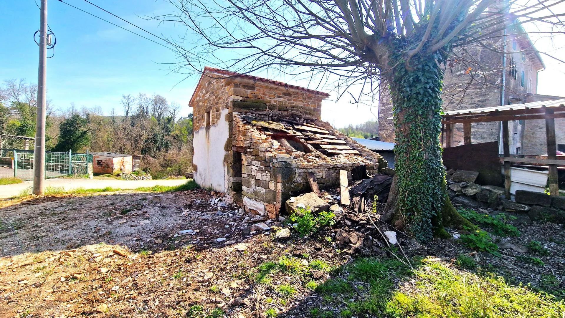 Fotografija
