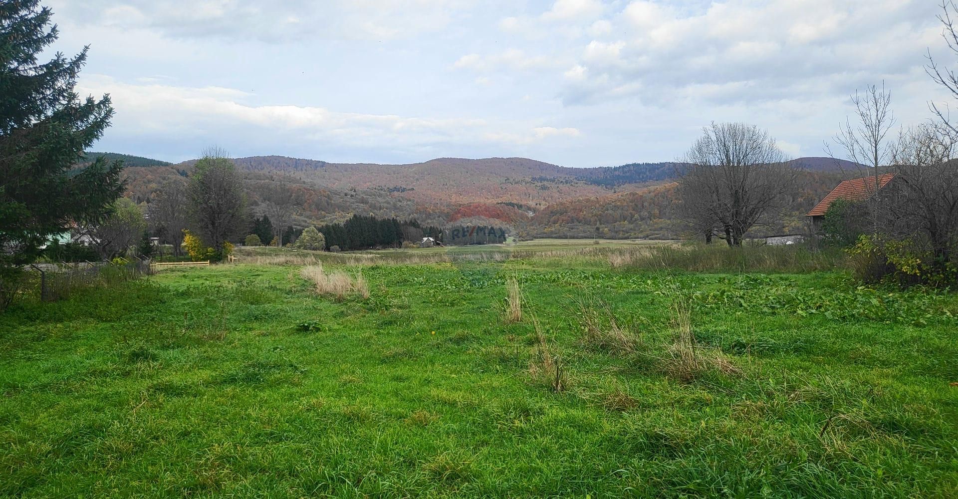 Fotografija
