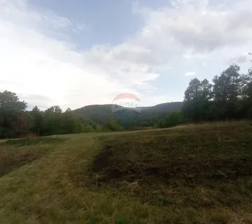 Vrbovsko, Trnova Poljana, poljoprivredno zemljište 5947 m2 - cover