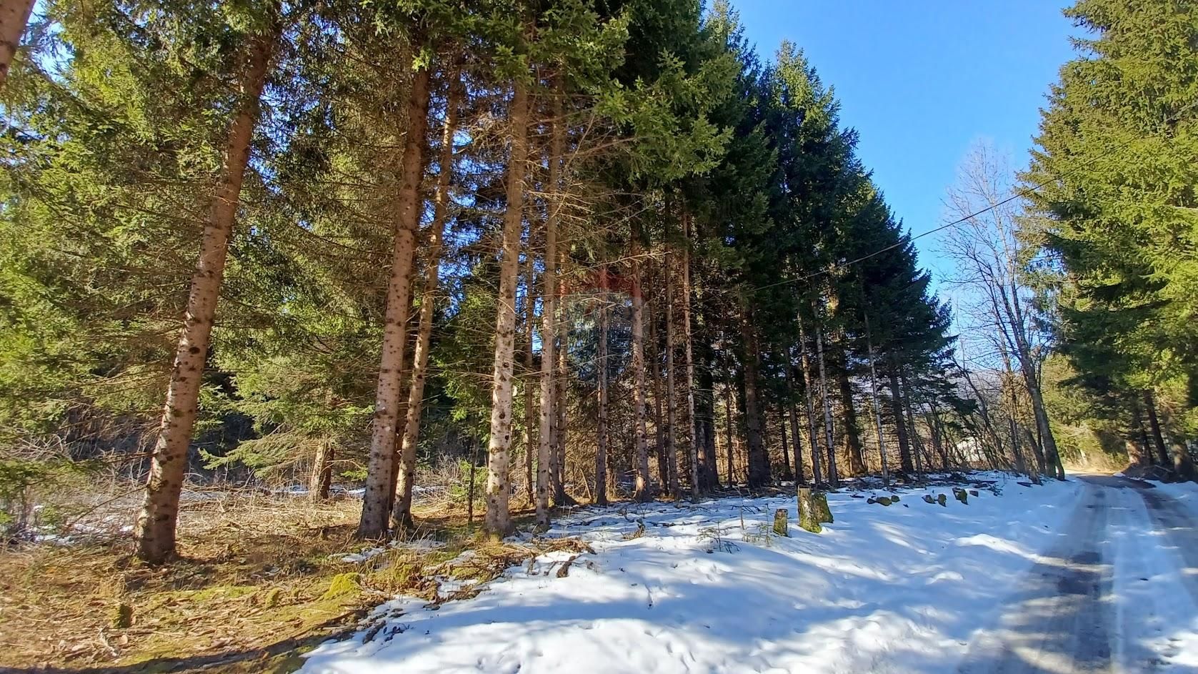 Fotografija