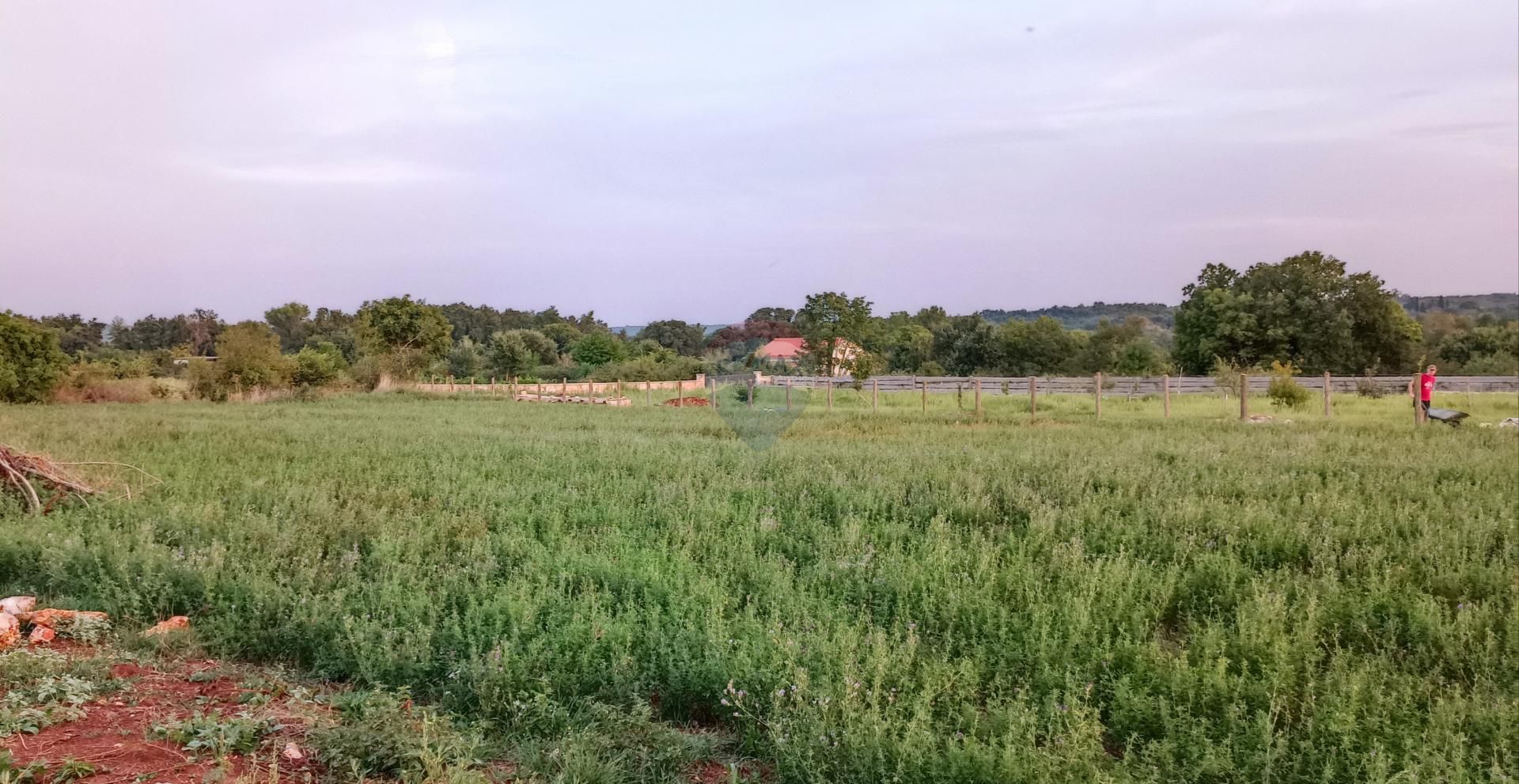 Fotografija