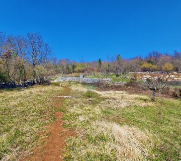 Istra,Grožnjan,okolica-Građevinsko zemljište u mirnom okruženju - cover