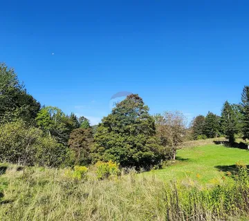 Gorski kotar, Vrbovsko - poljoprivredni teren 5990 m2 - cover