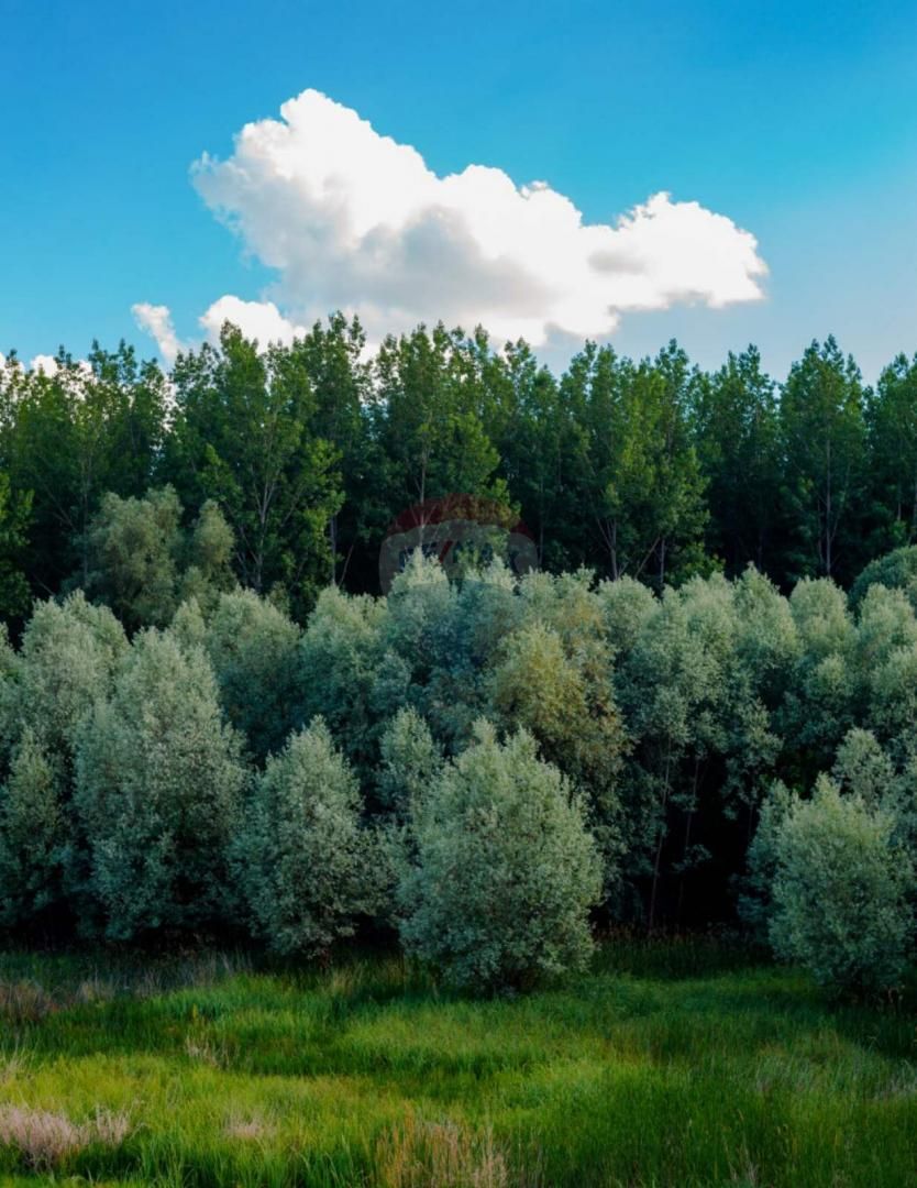 Fotografija