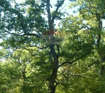 Šilo,poljoprivredno zemljište(šuma)površine 3108m2-500m od mora - cover