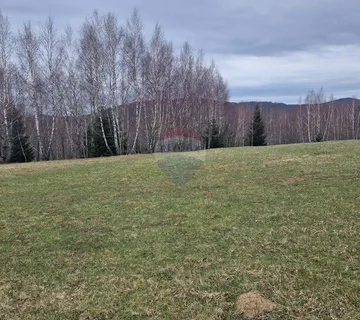 Kupjak-velik polj.teren 30000m2 - cover