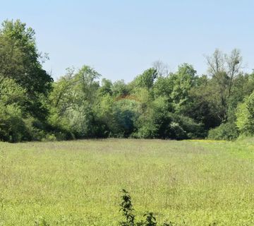 Velika Gorica, Orle, Zemljište - cover