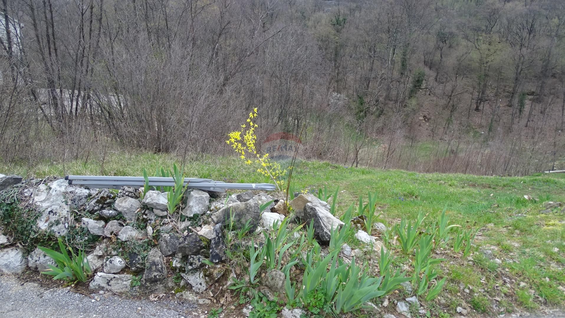Fotografija