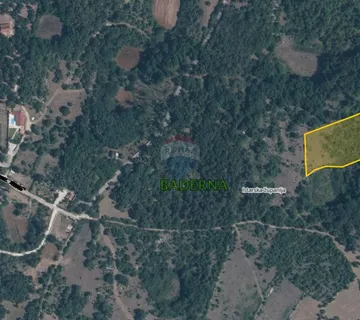 Istra, Baderna - pašnjak 8421 m2 - cover