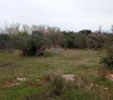 Istra, Vodnjan poljoprivredno zemljište 5463m2 - cover