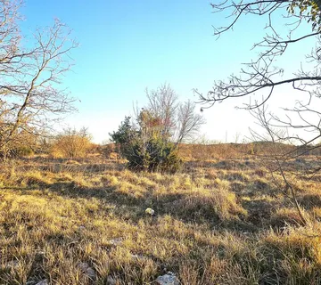 Istra, Grožnjan- poljoprivredno zemljište - cover