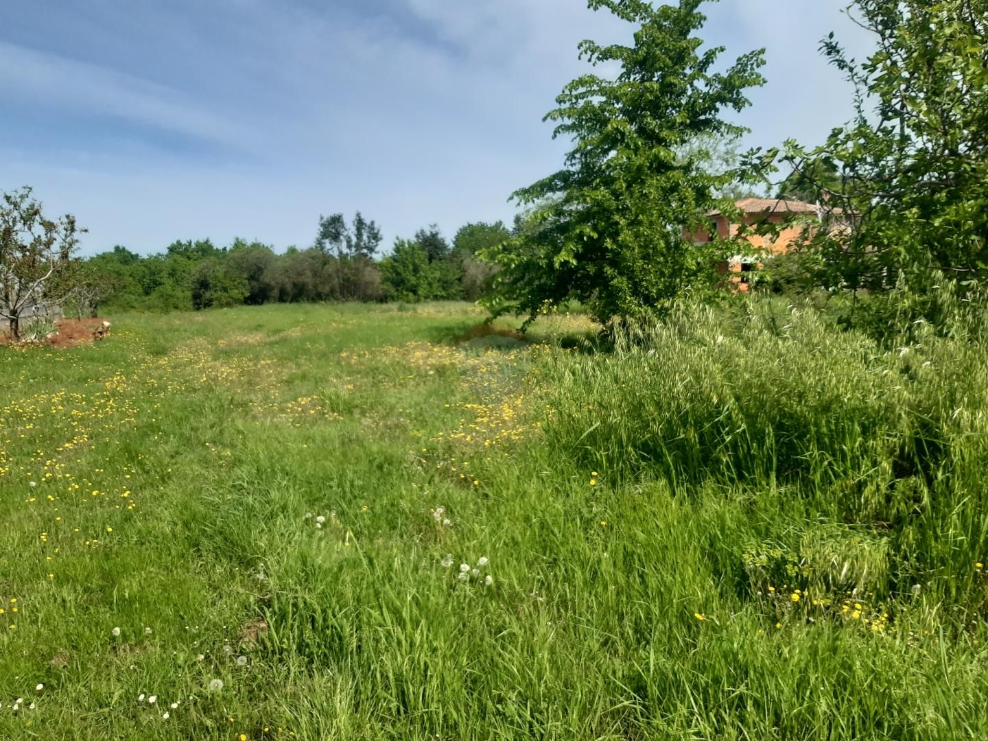 Fotografija