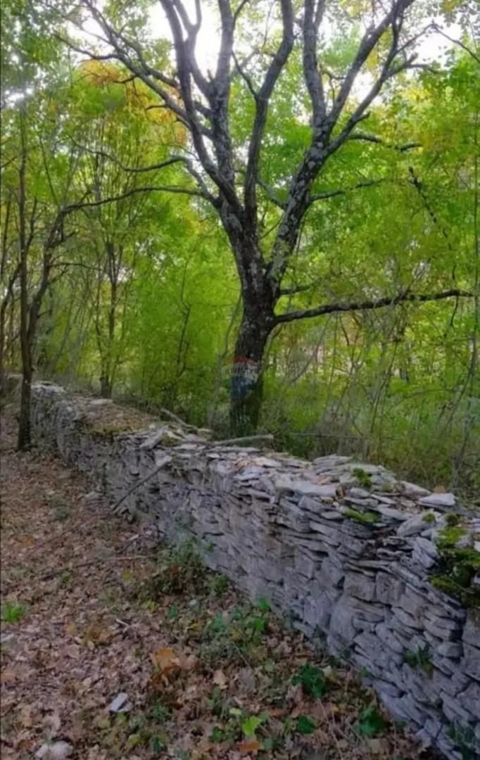 Fotografija