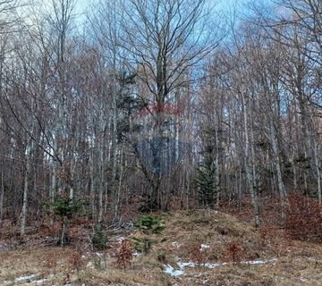 Bribir, Veli Laz - građevinski teren 2930 m2 - cover
