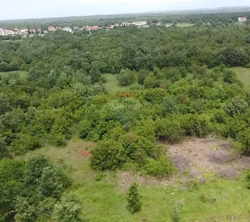 Istra, Poreč, Žbandaj-veliko poljoprivredno zemljište s ucrtanim putom - cover