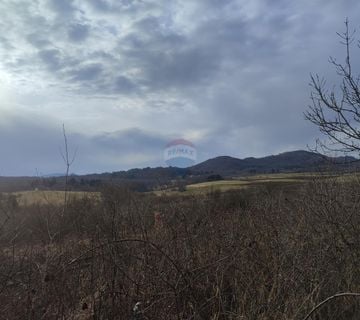 Vojnovac,ruševna kuća,136830 m2 okućnice - cover