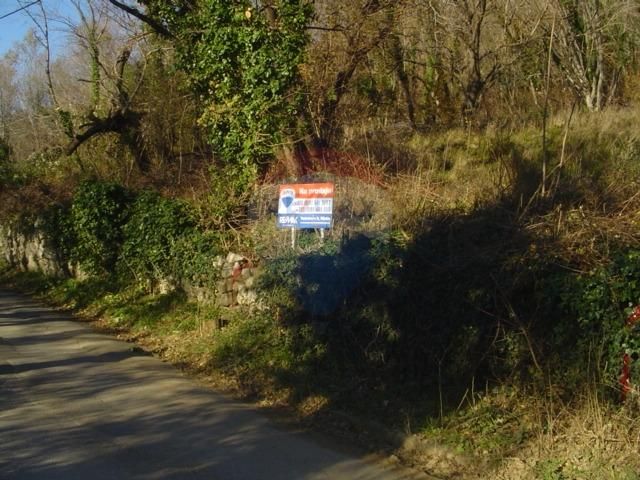 Fotografija