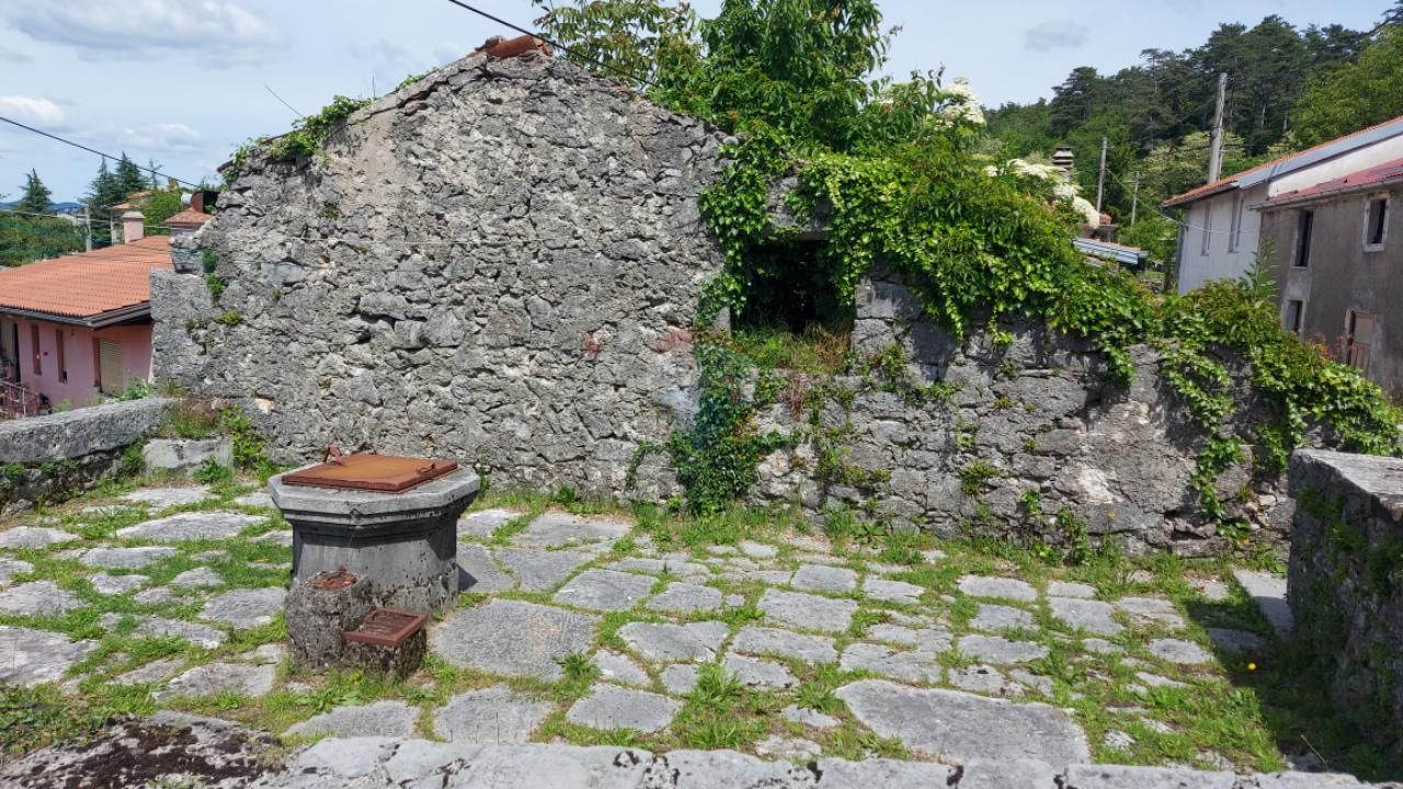 Fotografija