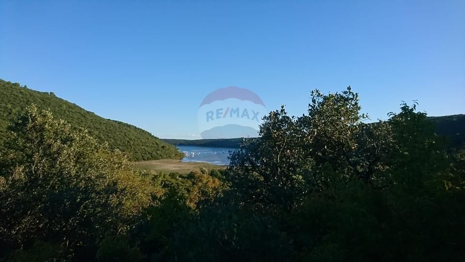 Fotografija