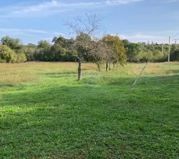 Umag, građevinsko zemljište površine 19998 m2 turističke namjene - cover