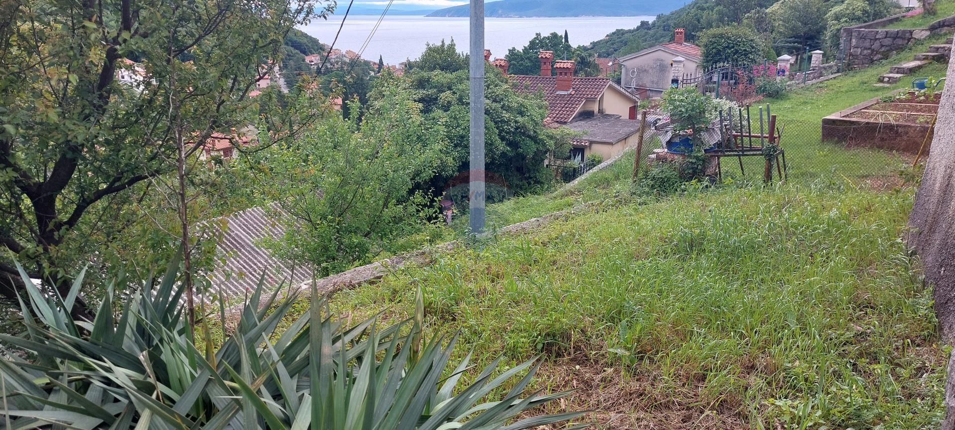 Fotografija