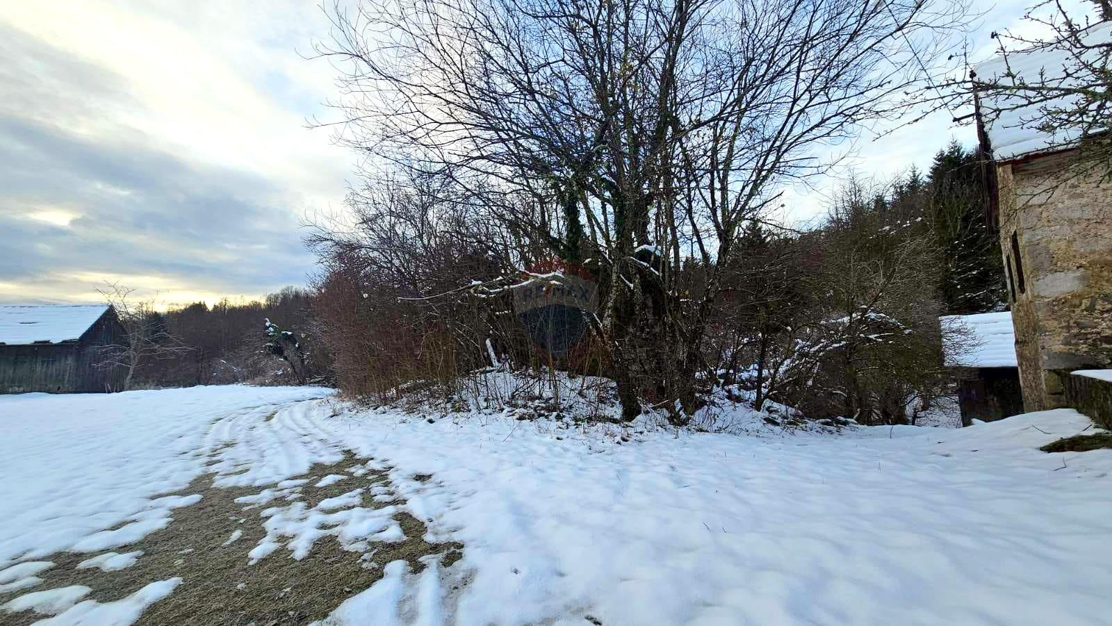 Fotografija