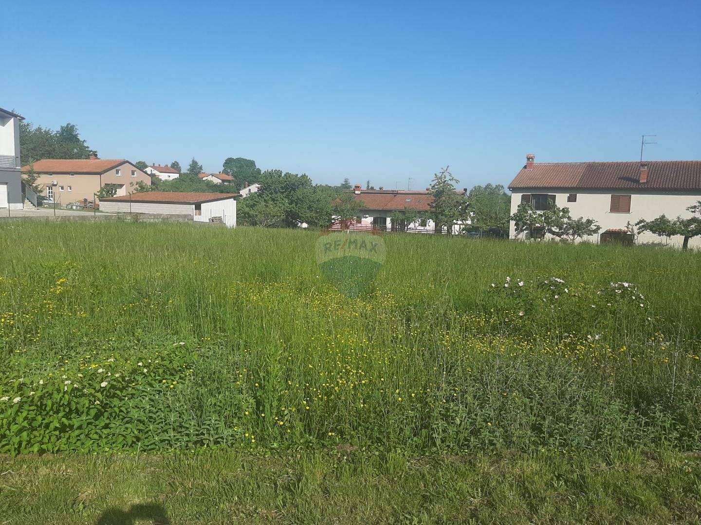 Fotografija