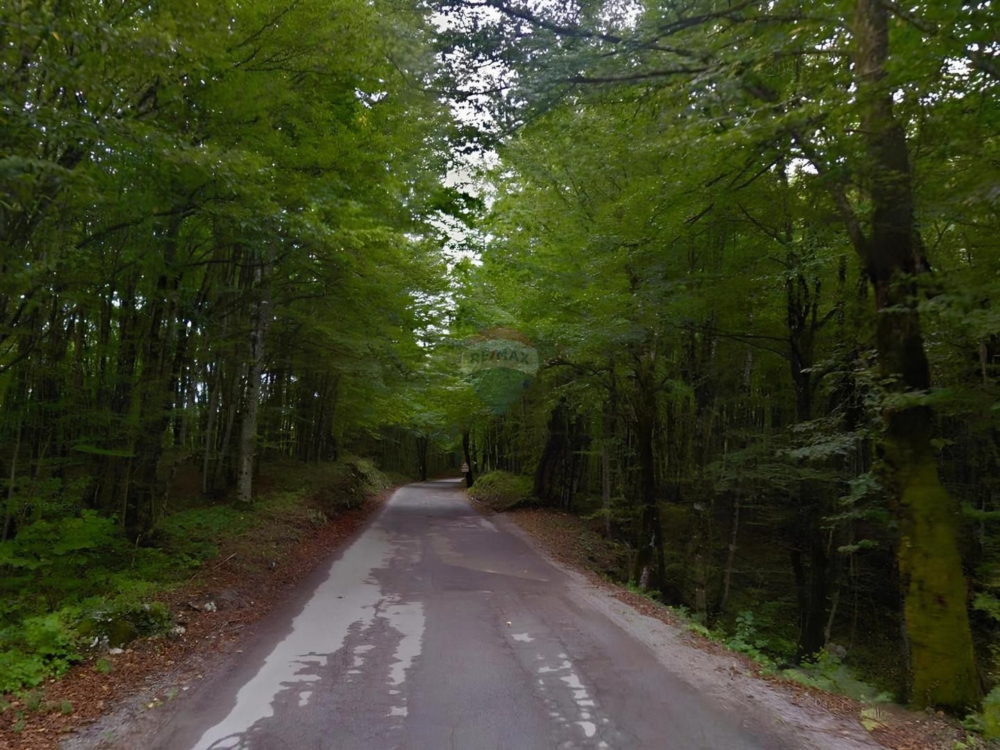 Fotografija