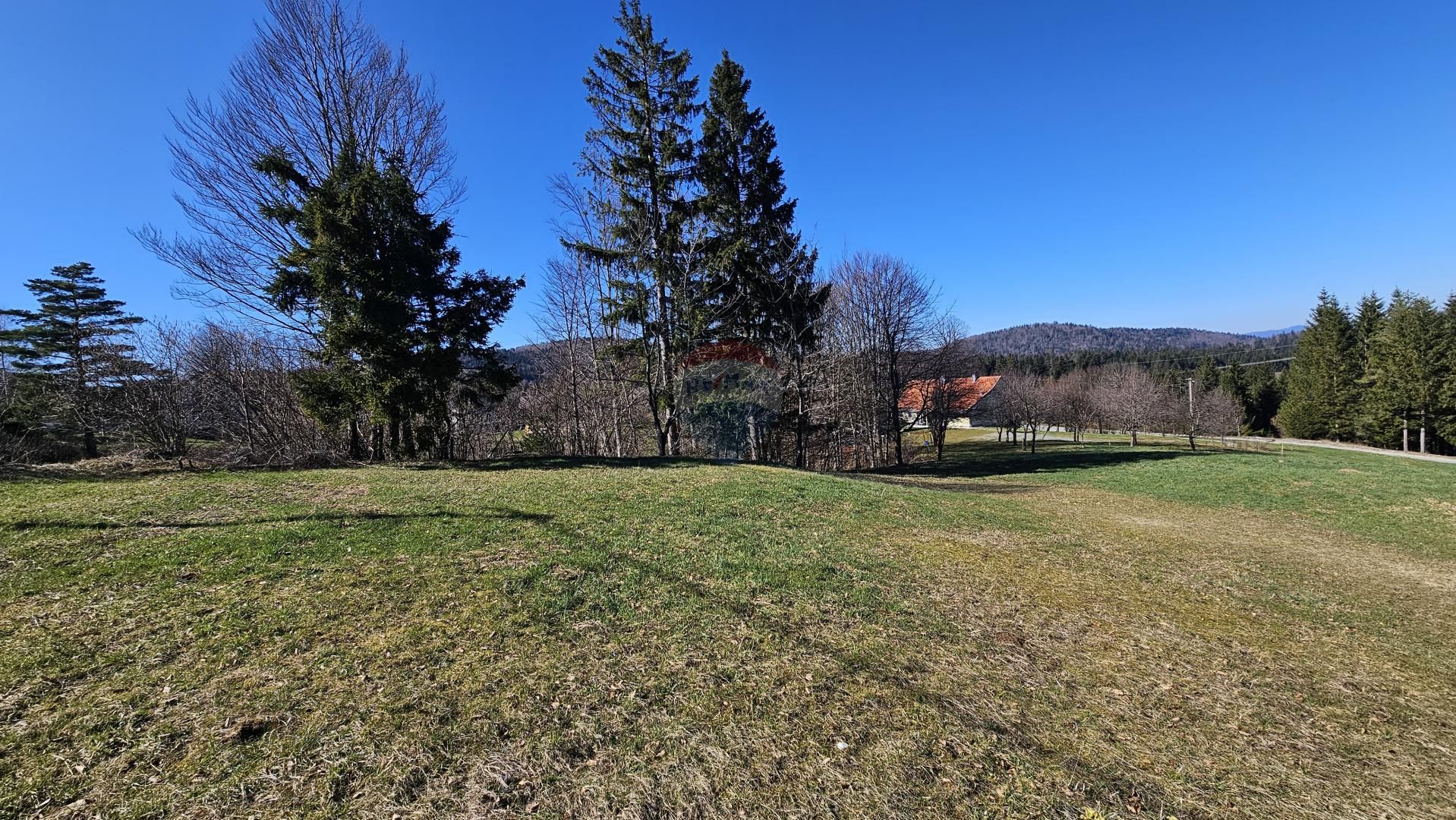 Fotografija