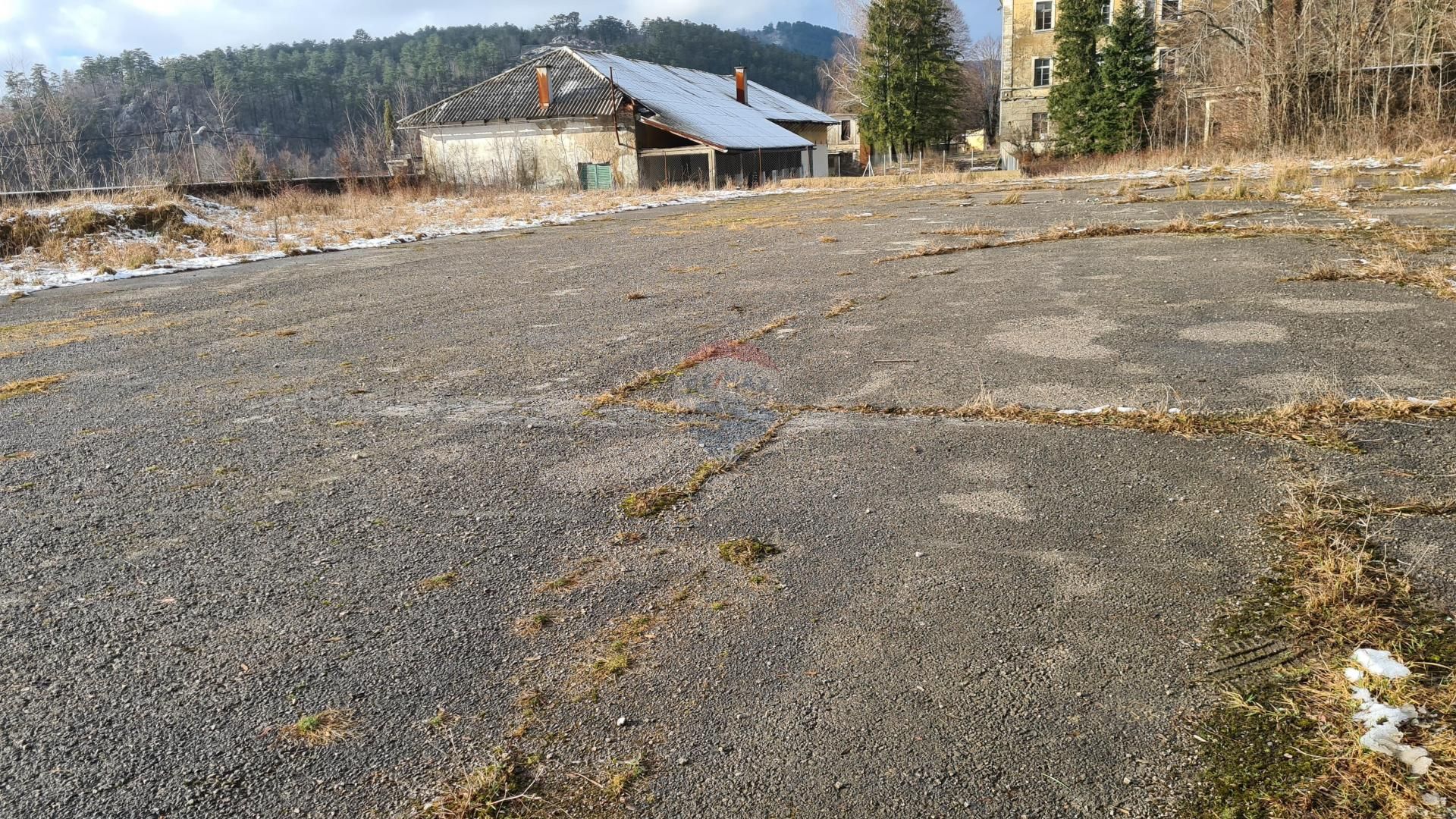 Fotografija