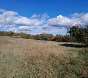 Istra,Filipana, građevinsko zemljište - cover