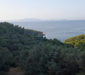 Korčula, Blato, 90 000m2 poljoprivredno zemljište - cover