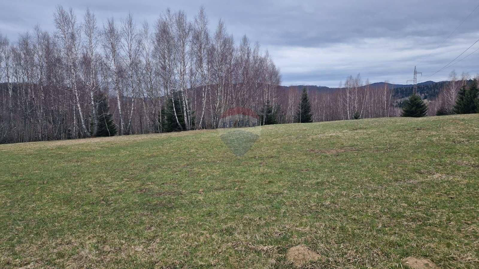 Fotografija
