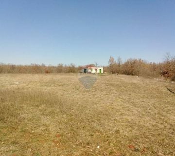 Građevinski Teren, Stancija Čabrunići 7000m2 - cover