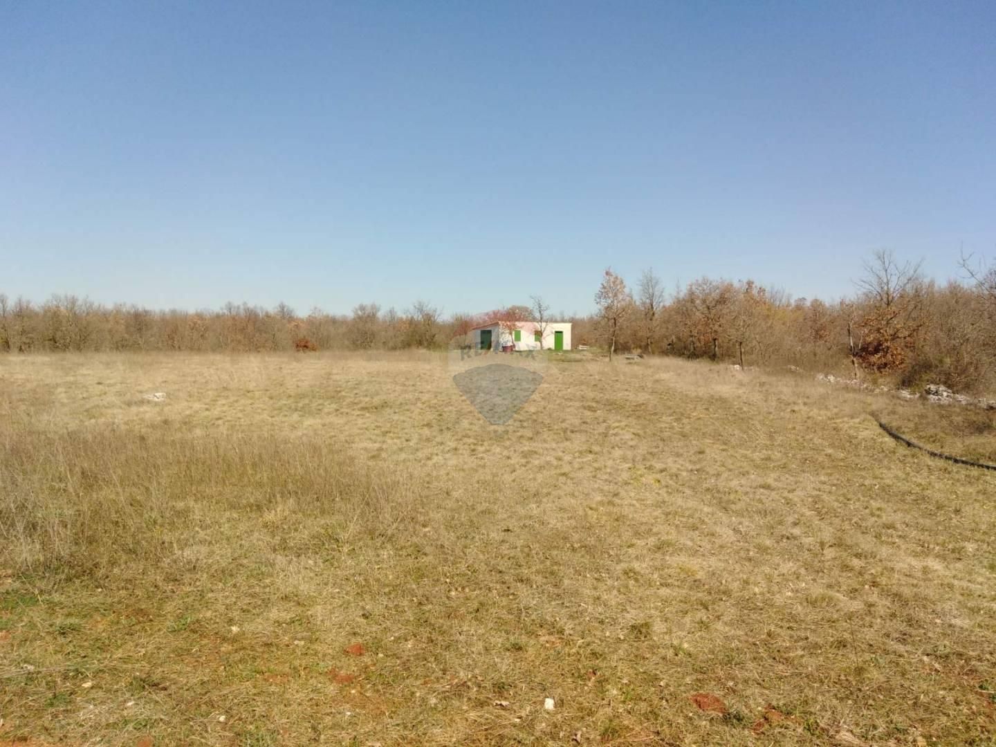 Fotografija