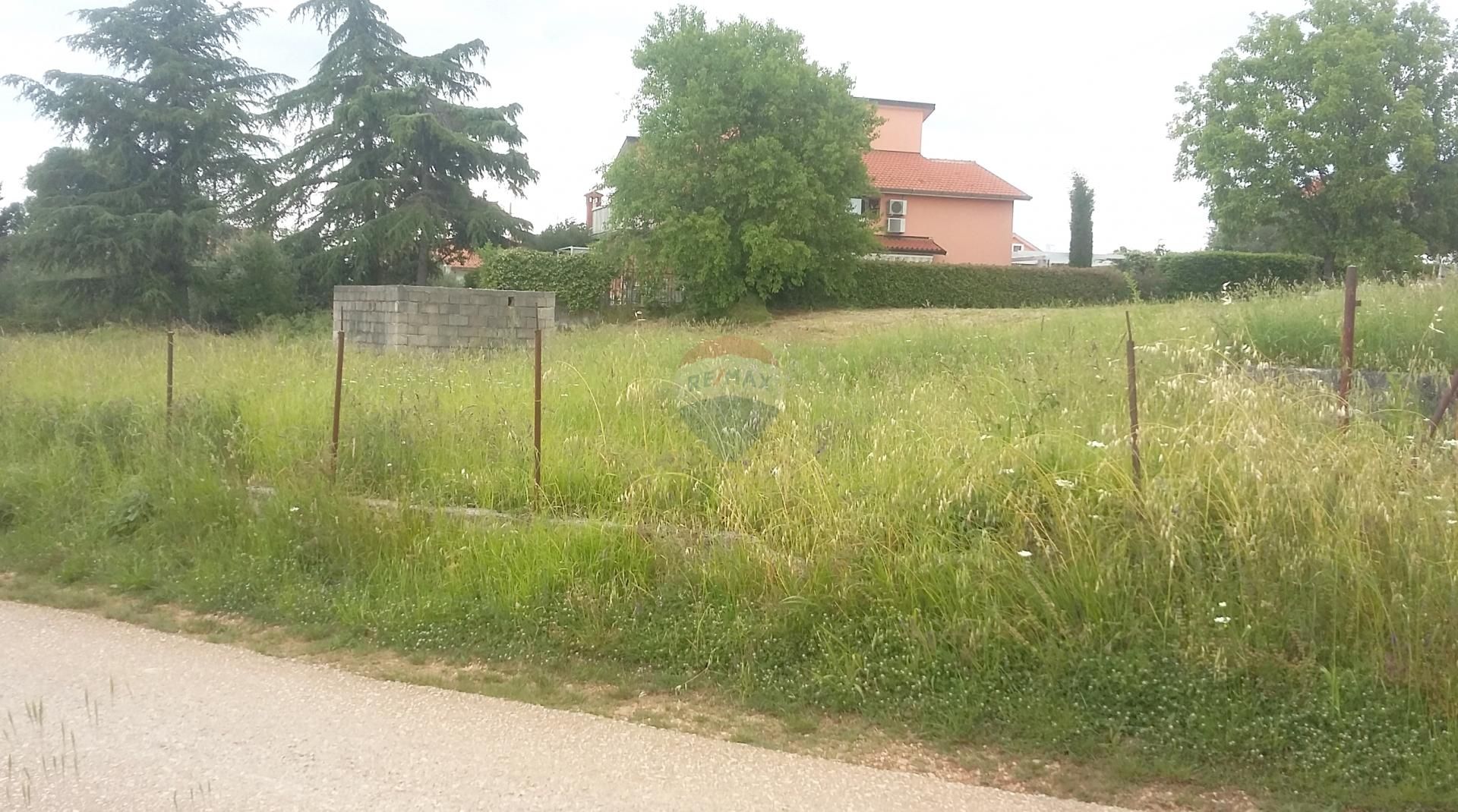 Fotografija