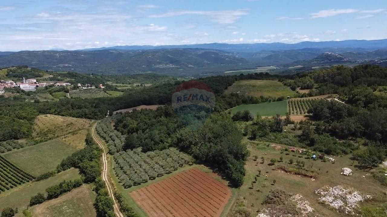 Fotografija