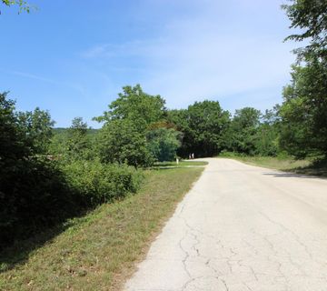 ISTRA, PIĆAN, PRODAJE SE GRAĐEVINSKA PARCELA 1250 M2 - cover