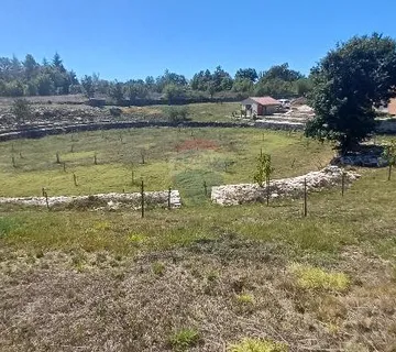 Istra, okolica Svetvinčenta, veliko zemljište, građevinsko i poljoprivredno - cover