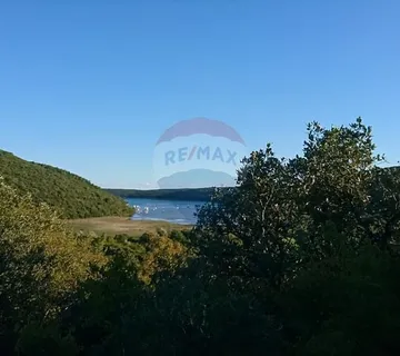 ISTRA, VALTURA, šuma uz pristupni put - cover