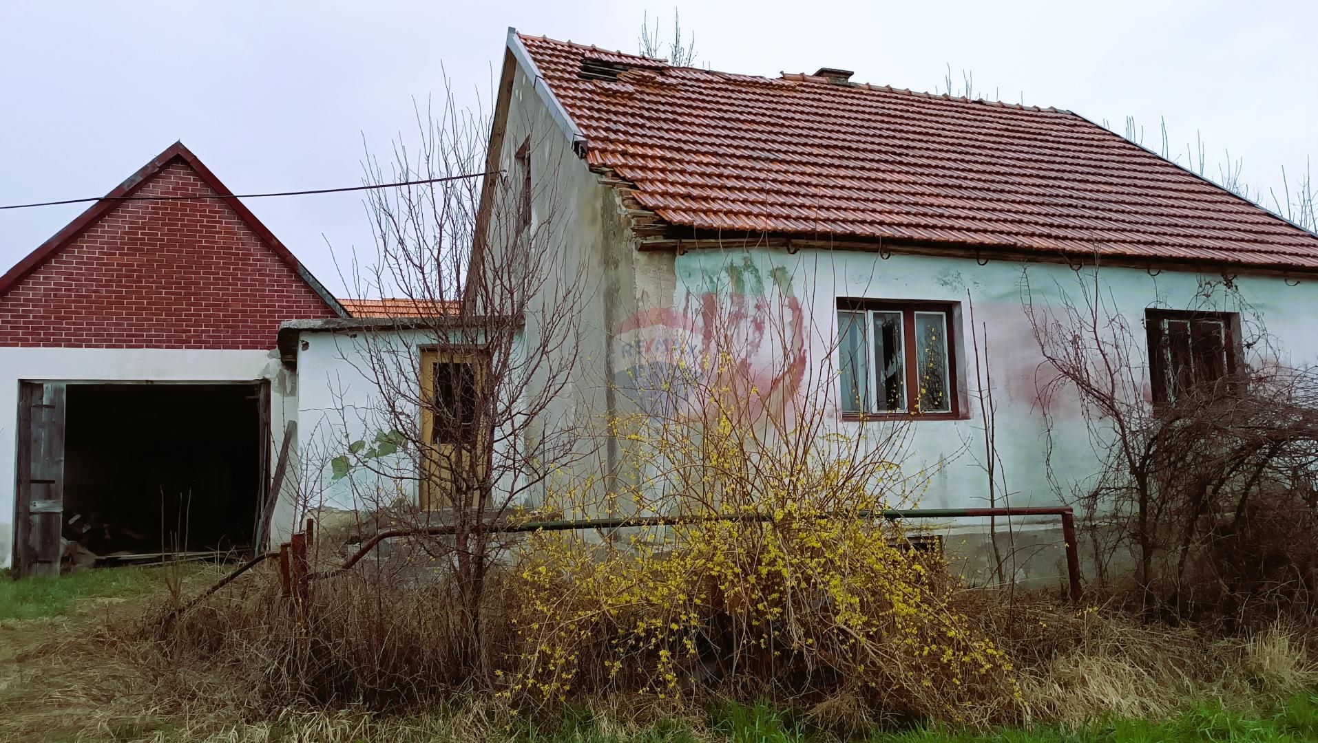 Fotografija