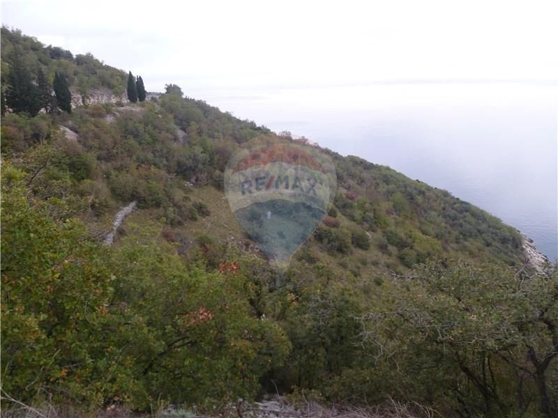 Fotografija